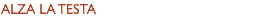 ALZA LA TESTA